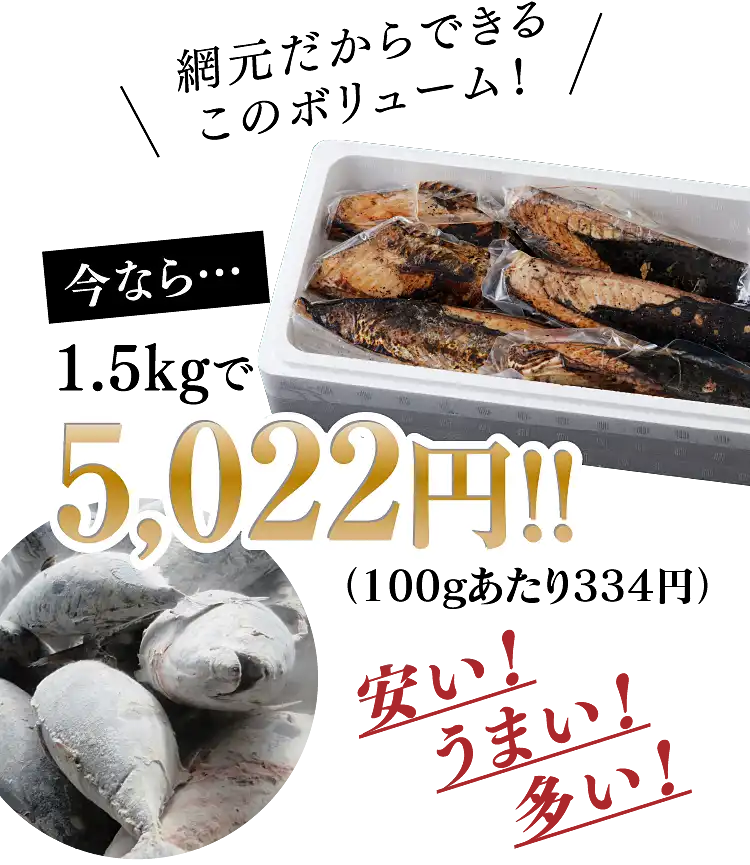 網元だからできるこのボリューム！　今なら1.5kgで5,022円！！（100gあたり334円）安い！うまい！多い！