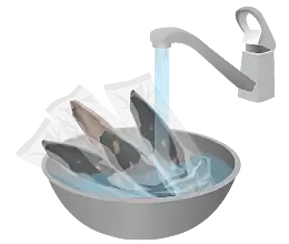 真空パックのまま、流水に浸ける。